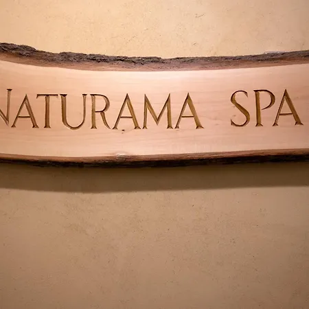 Toni's Alpine Loft Apartment *