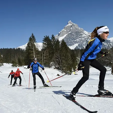Toni's Alpine Loft & * Kandersteg