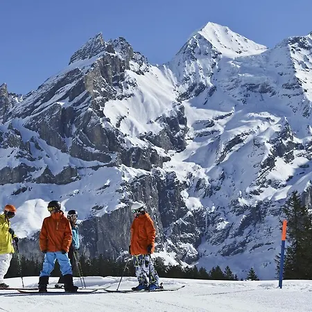 Toni's Alpine Loft & Kandersteg