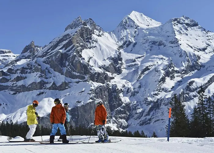 Toni's Alpine Loft Kandersteg